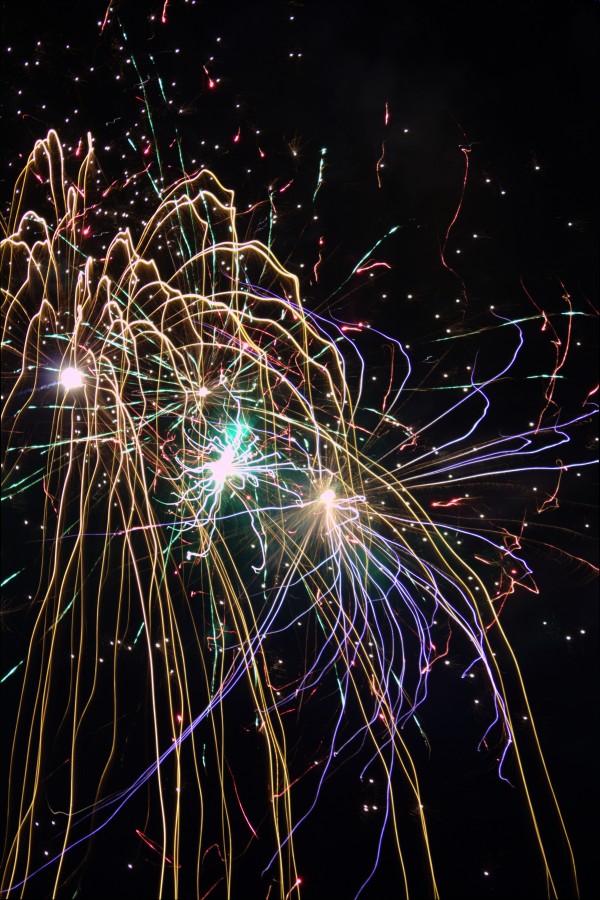 Firework Willow by Wade Anderson